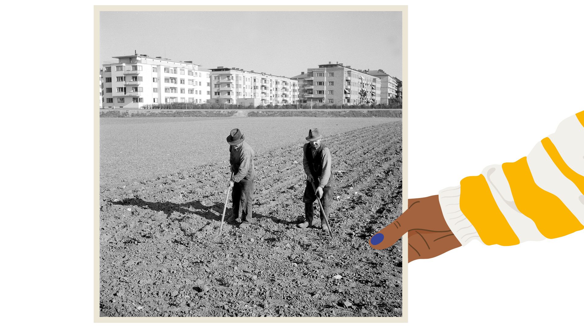 Två män arbetar på åkermark vid Ribersborg, med bostadshus i bakgrunden. Bilden visar övergången mellan stad och land i stadens utveckling, där jordbruket fortfarande var en del av stadsbilden.