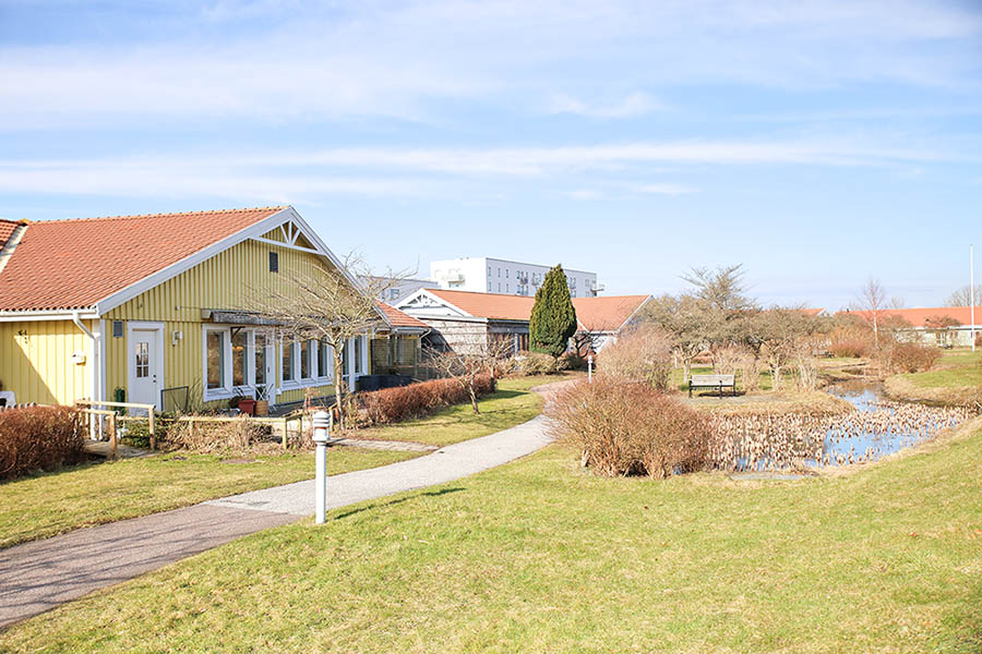 En solig vy över ljusgula hus med röda tak omgivna av gröna gräsmattor. En vindlande gångstig leder förbi en liten damm.