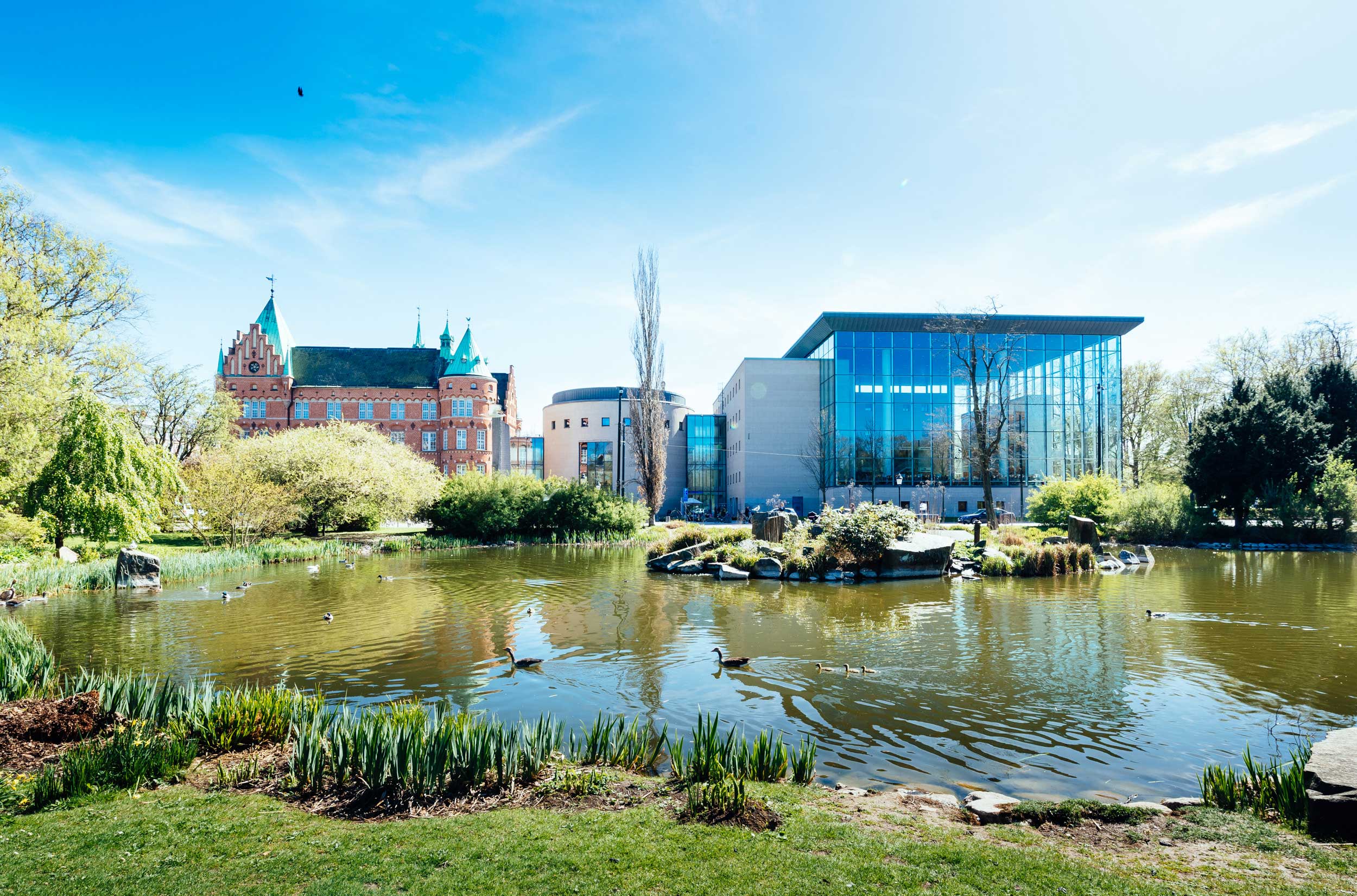 Bild på Stadsbiblioteket i Malmö en solig dag med blå himmel. Till vänster byggnaden som kallas slottet, till höger byggnaden som kallas Ljusets kalender. I förgrunden en vattendamm med fåglar.