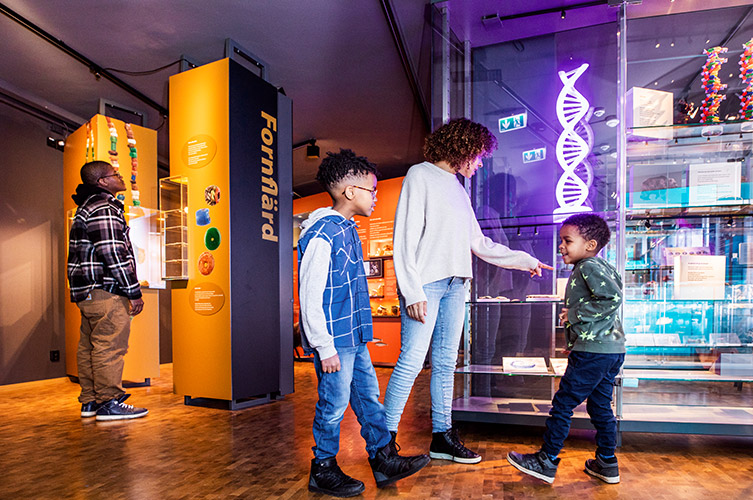 Utställningen består av ett par olika avdelningar på olika teman, varje tema har en egen färg. I varje avdelning finns montrar med föremål från musets samlingar. Det finns också filmer på skärmar på väggarna och några bord där man kan sitta ner och titta på  föremål och reproduktioner.