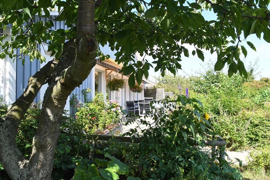 Grönskande trädgård och terrass synlig genom lövverk.