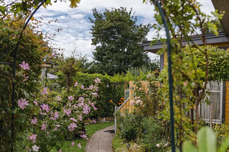 En grusig väg med staket till höger i Almåsa fritidsby. I bakgrunden är det flera kolonistugor. 