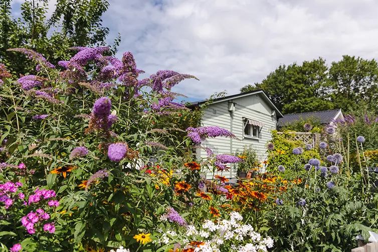 En vit kolonistuga med blåa gavlar på Kölnan fritidsby.