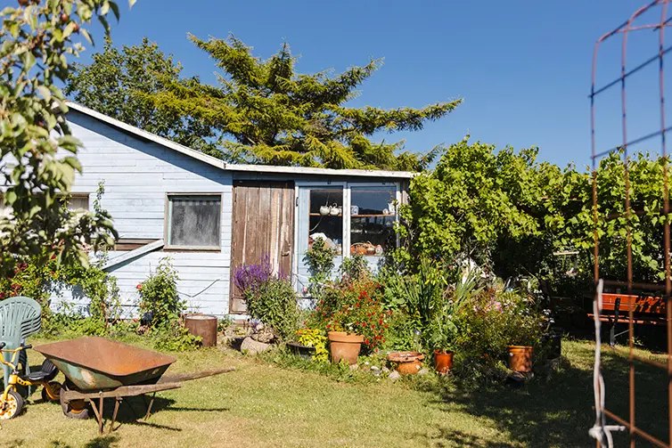 En lus kolonistuga på Spurt brevduveklubb.