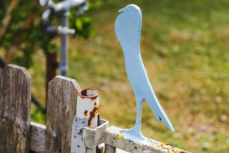 En blå kolonistuga med rött tak på Start brevduvekoloni.