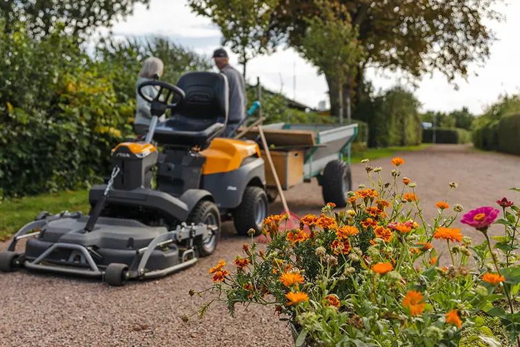 En grusgång med kolonistugor vänster om gången på Ärtholmen koloniområde. I bakgrunden syns ett höghus.