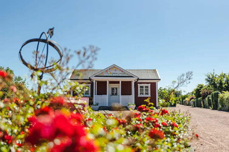En grusgång mellan olika kolonitomter på Östra Sommarstaden.