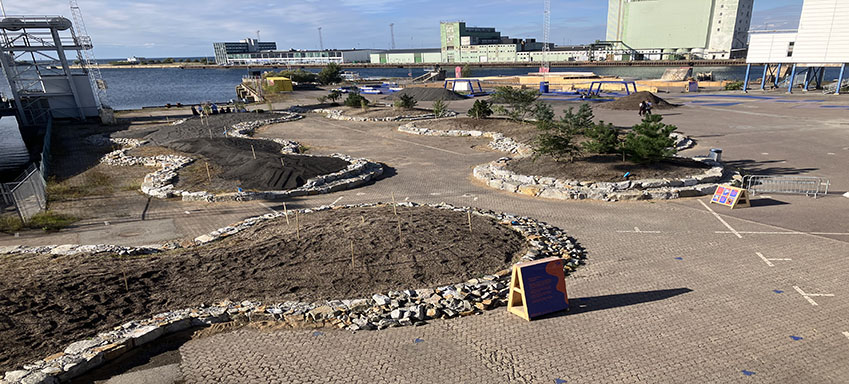 Planteringen av den urbana skogen vid Färjeterminalen.