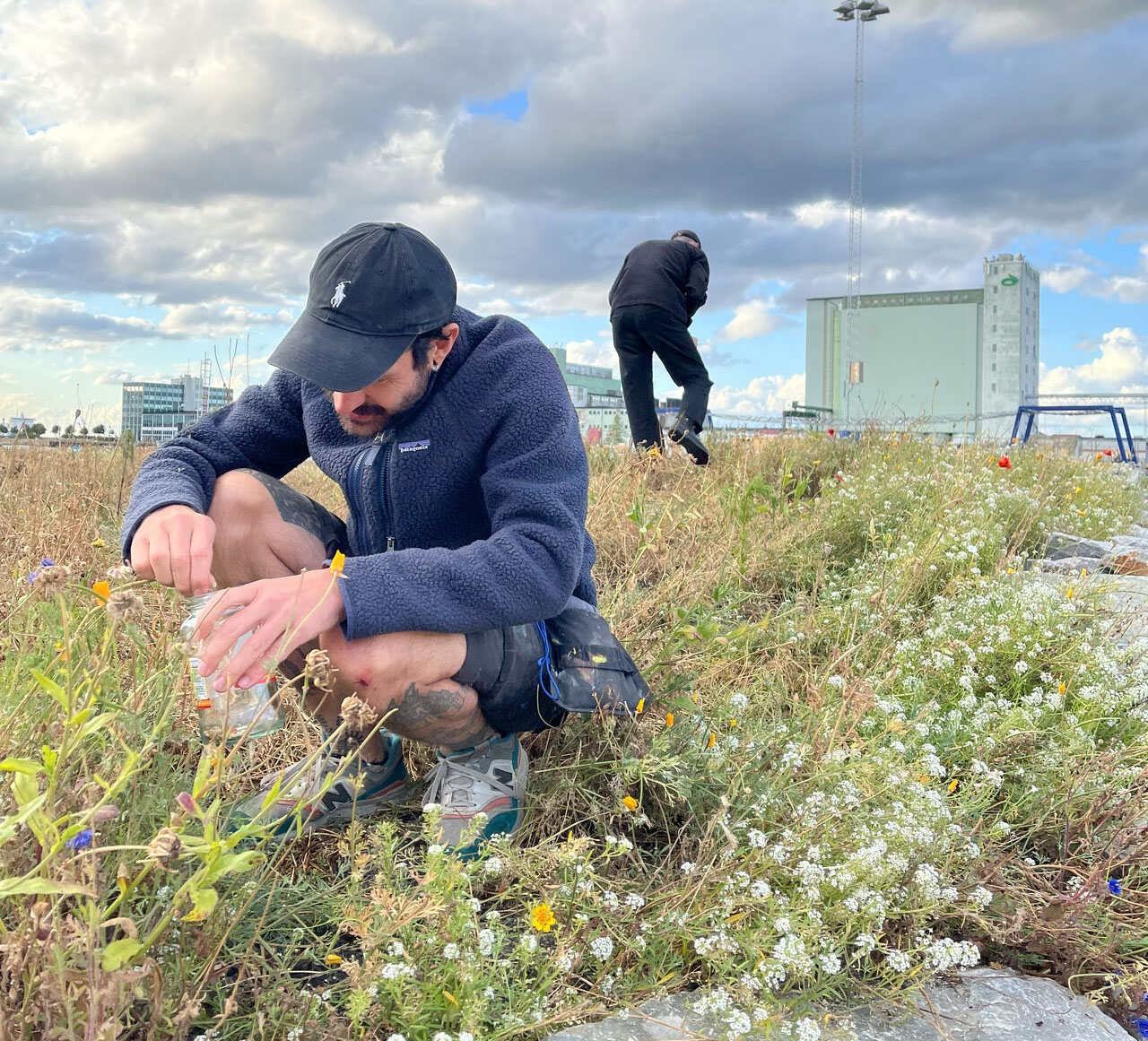 Man plockar blommor på äng vid Färjeterminalen