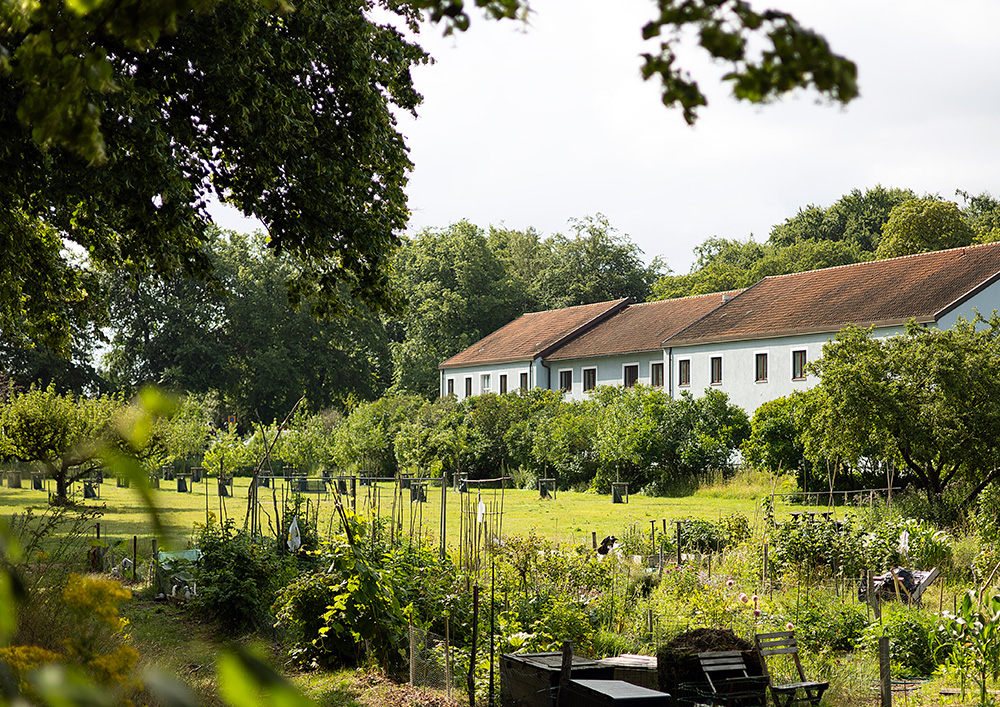 Odlingslotter med grönska och en fruktlund i bakgrunden