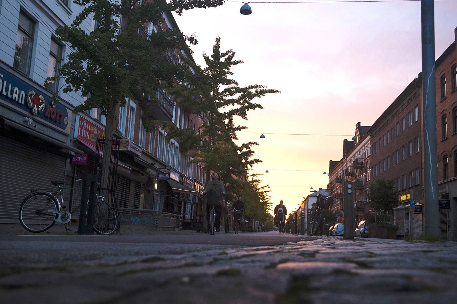 Gata i skymning visar ginkoträd