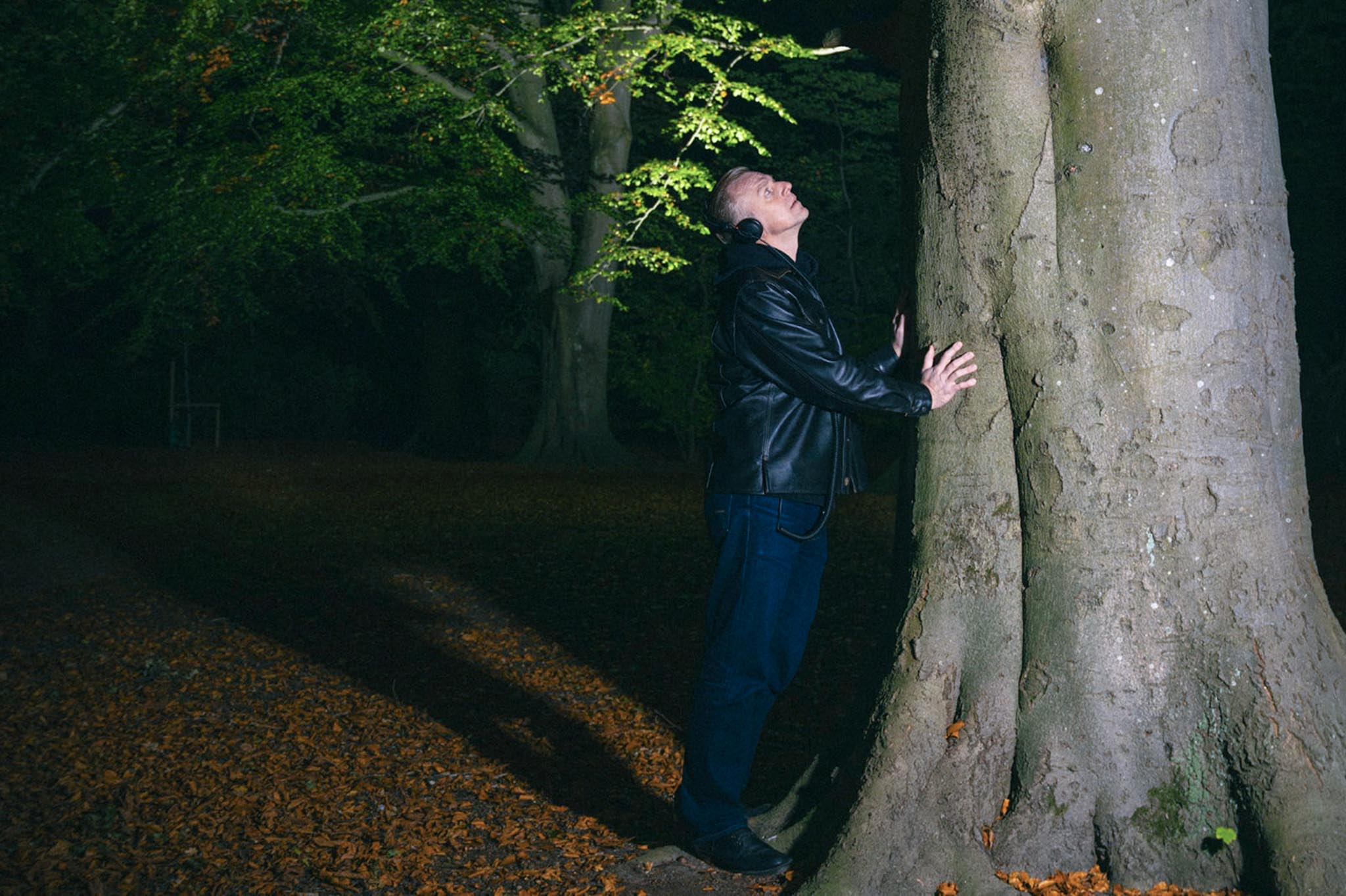 Artisten Familjen tittar upp på ett stort bokträd.