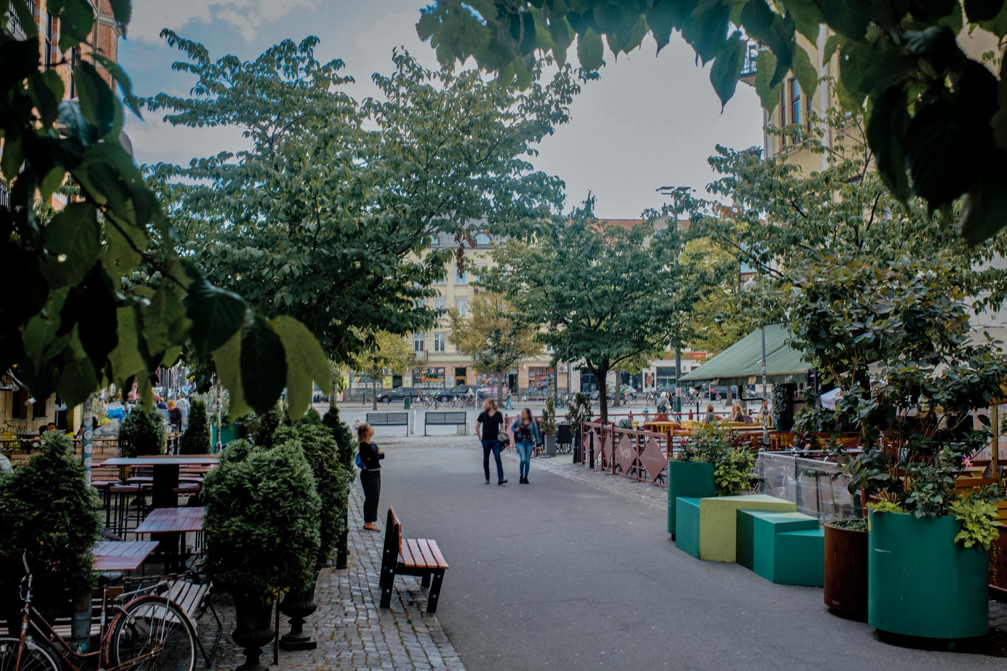 Visar grön gata med buskar och träd vid Möllevångstorget. 