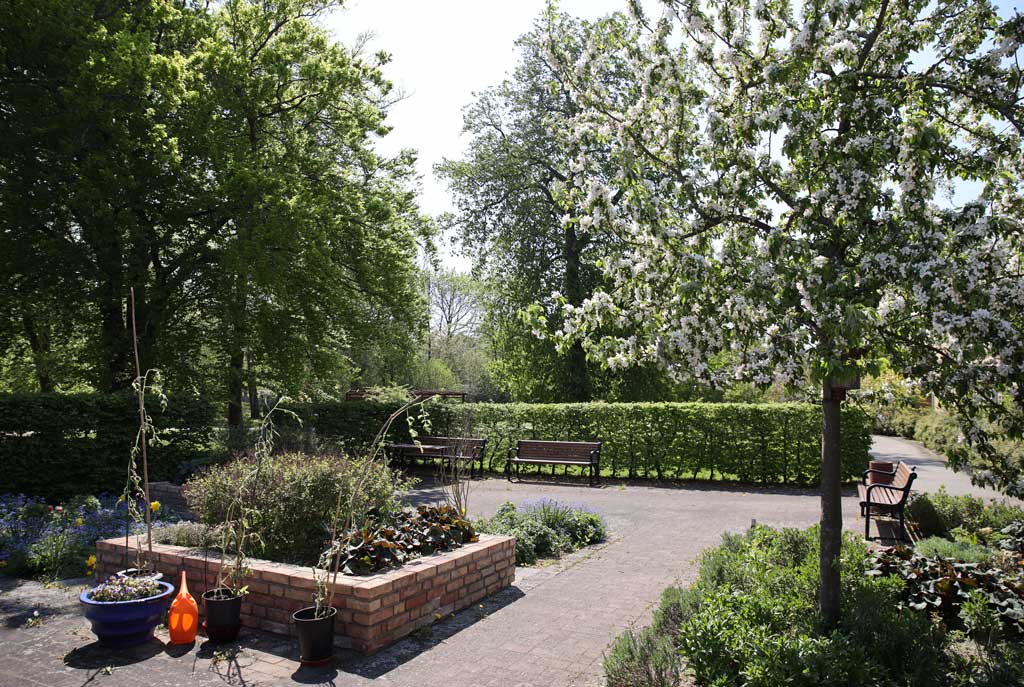 Planteringarna håller både personal och boende sysselsatta.