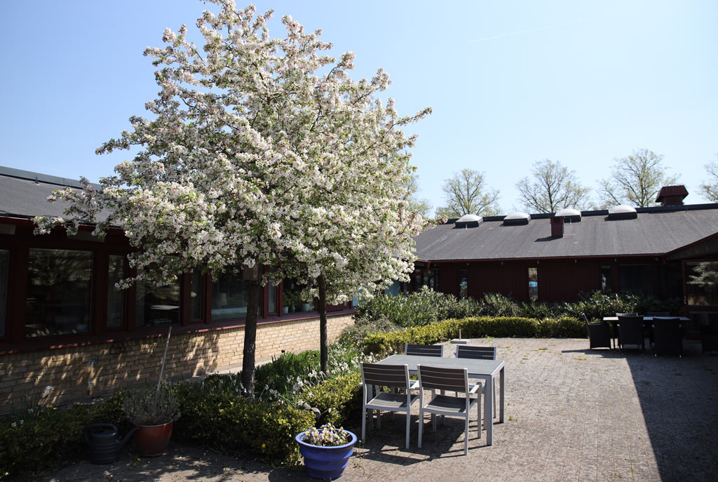 Att sitta under de blomstrande träden ger både skugga och underbara
dofter.