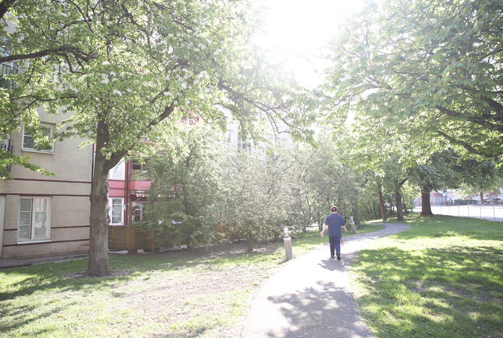Att promenera på stigen runt huset är både härligt och
nyttigt.