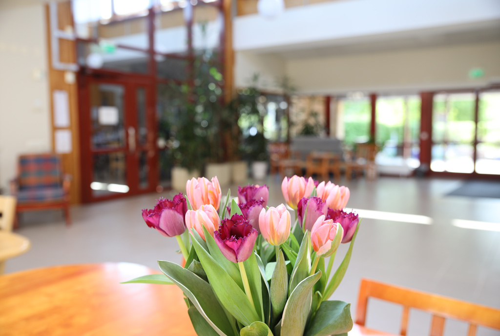 De stora glaspartierna släpper in mycket ljus i de rymliga lokalerna.