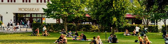Moriskan folkets park