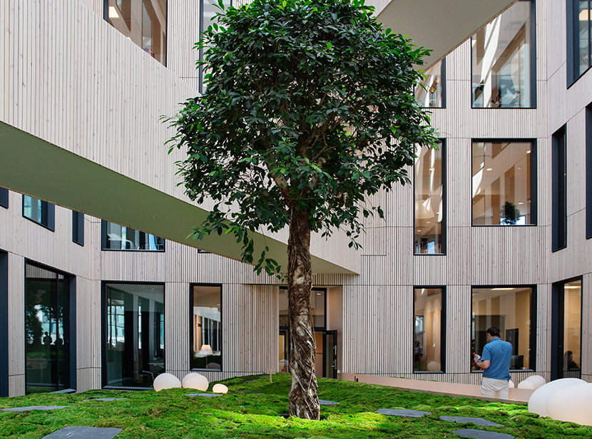 Kontorshuset Dungen interiör. Foto: Bojana Lukac