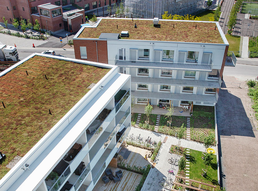 Gjuteriet 23 i Limhamn, gröna tak. Foto: Bojana Lukac