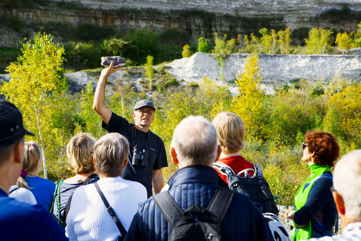 En guide håller upp en sten framför en grupp människor i Limhamns kalkbrott.