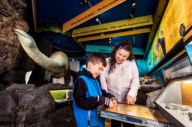 Utställningen består av flera modeller av dinosaurier och andra urtidsdjur samt montrar med föremål från den här perioden. Det finns också en konstgjrod grotta man kan gå in i och simulera hur en jordbävning känns. Utställningen brukar vara populär hos barn i alla åldrar. 
