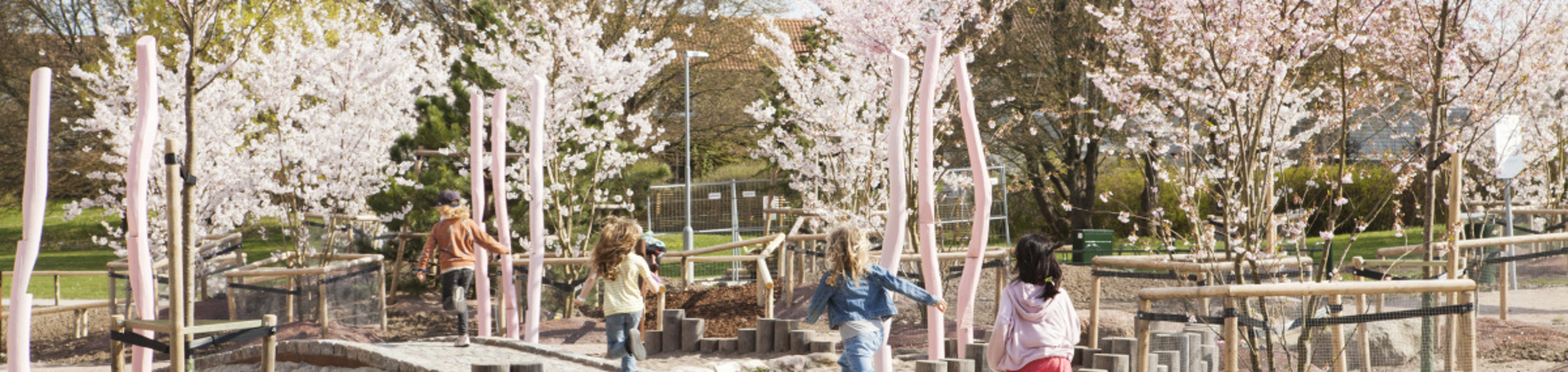 Fyra barn springer på ett trädäck på lekplatsen. I Bakgrunden finns flera blommande körsbärsträd.  