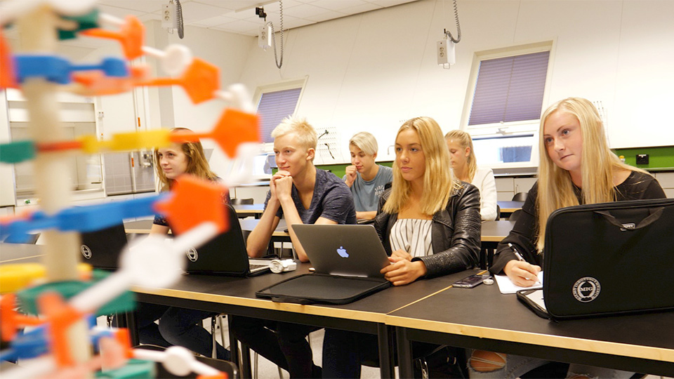 Ett flertal elever sitter vid sina bänker vid en lektion.