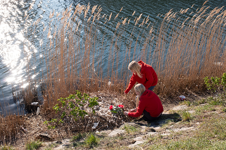 En del medborgare lade blommor vid den döda svanens bo.