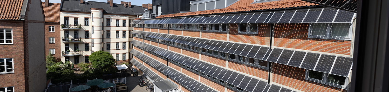 Avenboken på Henrik Smithsgatan 13