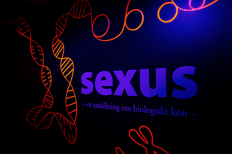 Utställningen består av bland annat uppstoppade djur, väggmålningar, ljudspår och filmer. 