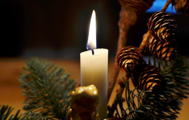 Ett levande ljus omgiven av gran och kottar i juletid.