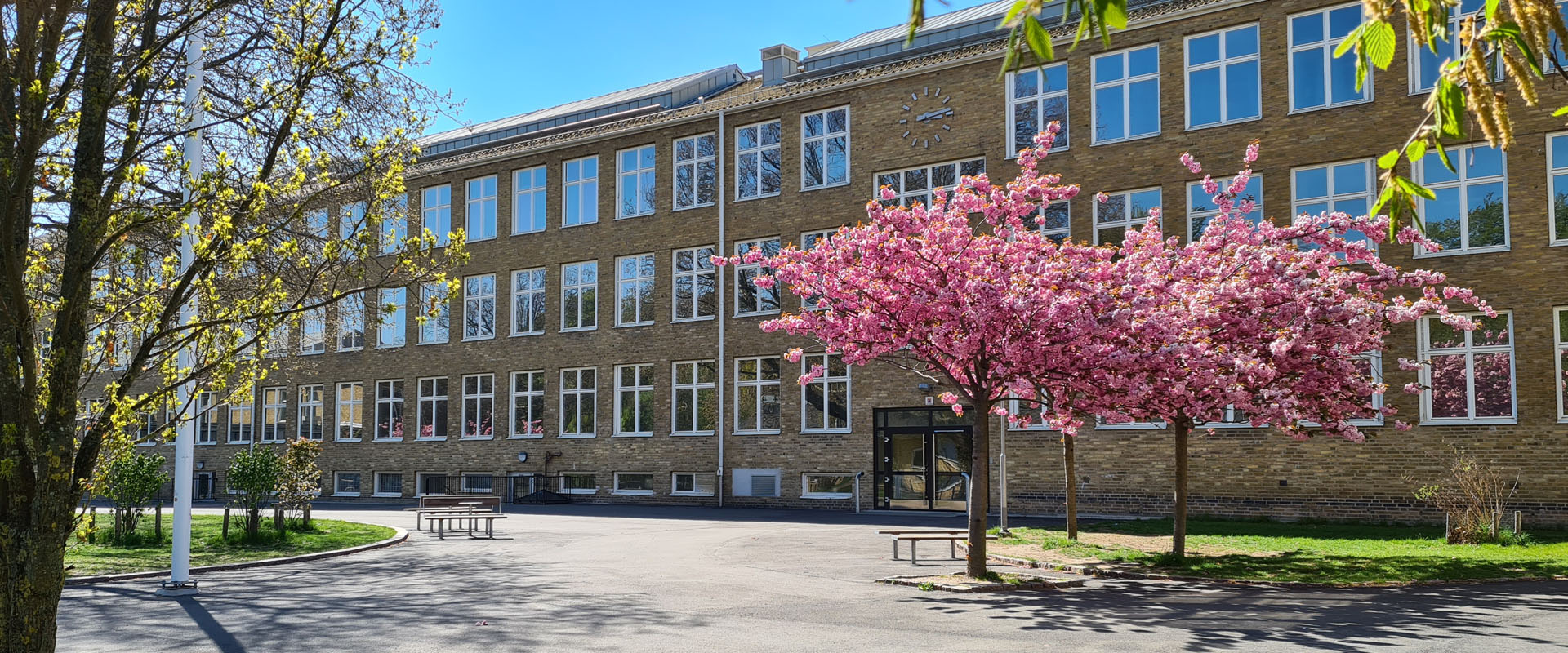 Bergaskolan har undervisning i fem byggnader omgivna av träd, gräsmattor och skolgård.