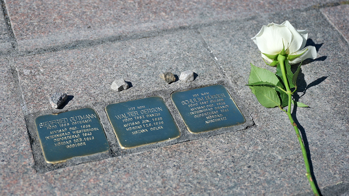 Tre silverfärgade gatustenar med inskriptionerna Schulim Bürger, Walter Gerson och Siegfried Gutmann. En vit ros ligger bredvid stenarna.