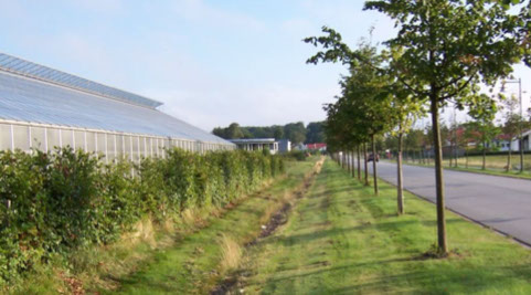 Ett dike mellan en väg och byggnad vid en landsväg. 