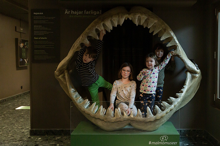 I en del av utställningen kan man gå in i ett hajgap.
