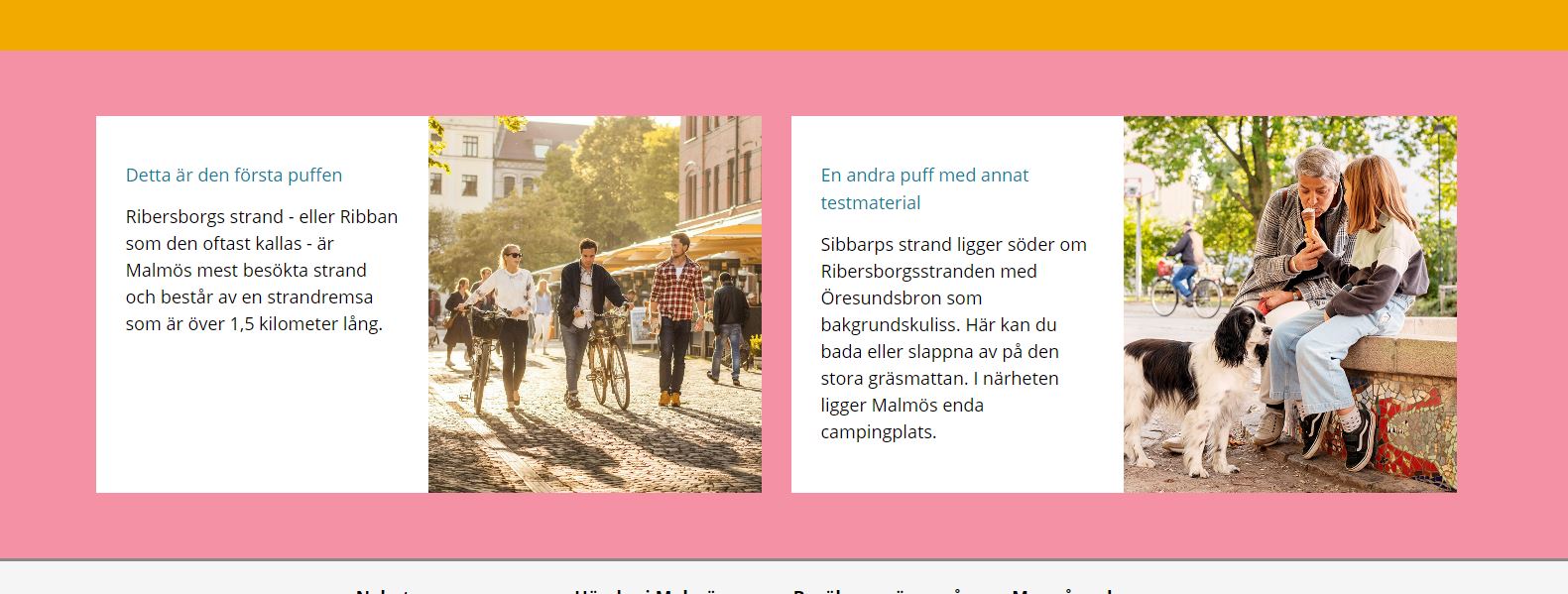 Exempel på hur modulen Fokus - Box kan se ut