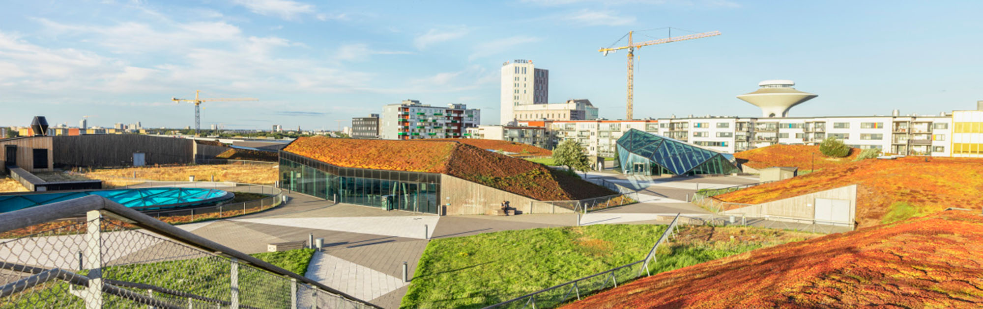 Vy över Hyllie, gröna tak och vattentorn. Foto: Apelöga.