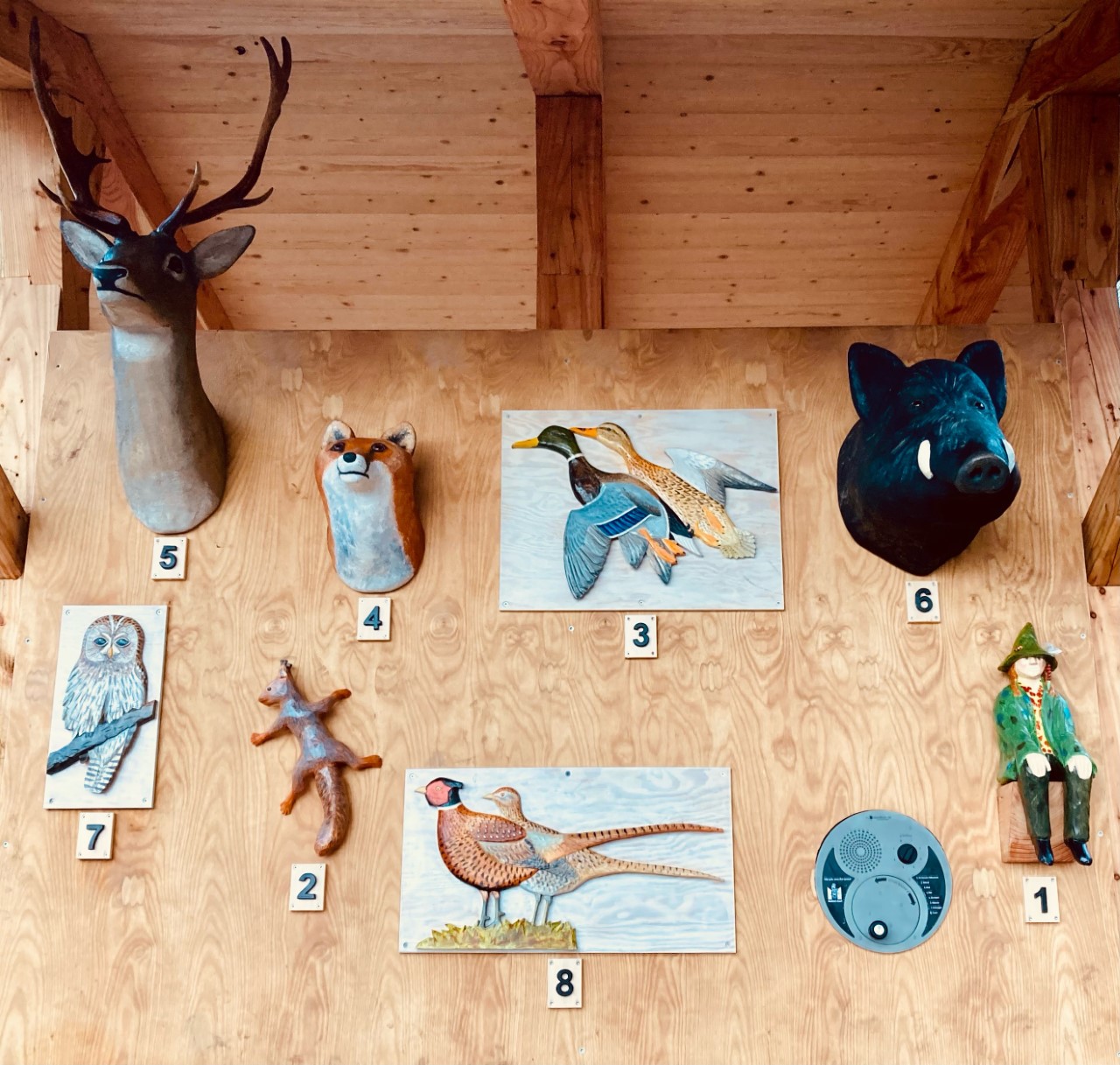 Modeller av olika djur monterade på en trävägg.