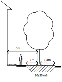 Illustration som visar minimimått vid placering av träd vid byggnader.