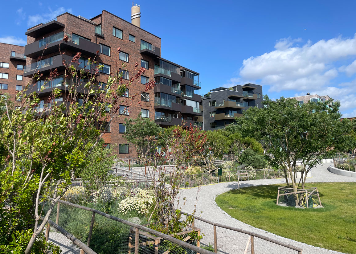 Del av Sjöscoutsparken, en nyanlagd, grönskande och blommande park i Limhamns hamnområde med cirkelformade element av cement och bostadskvarter i bakgrunden en solig sommardag.