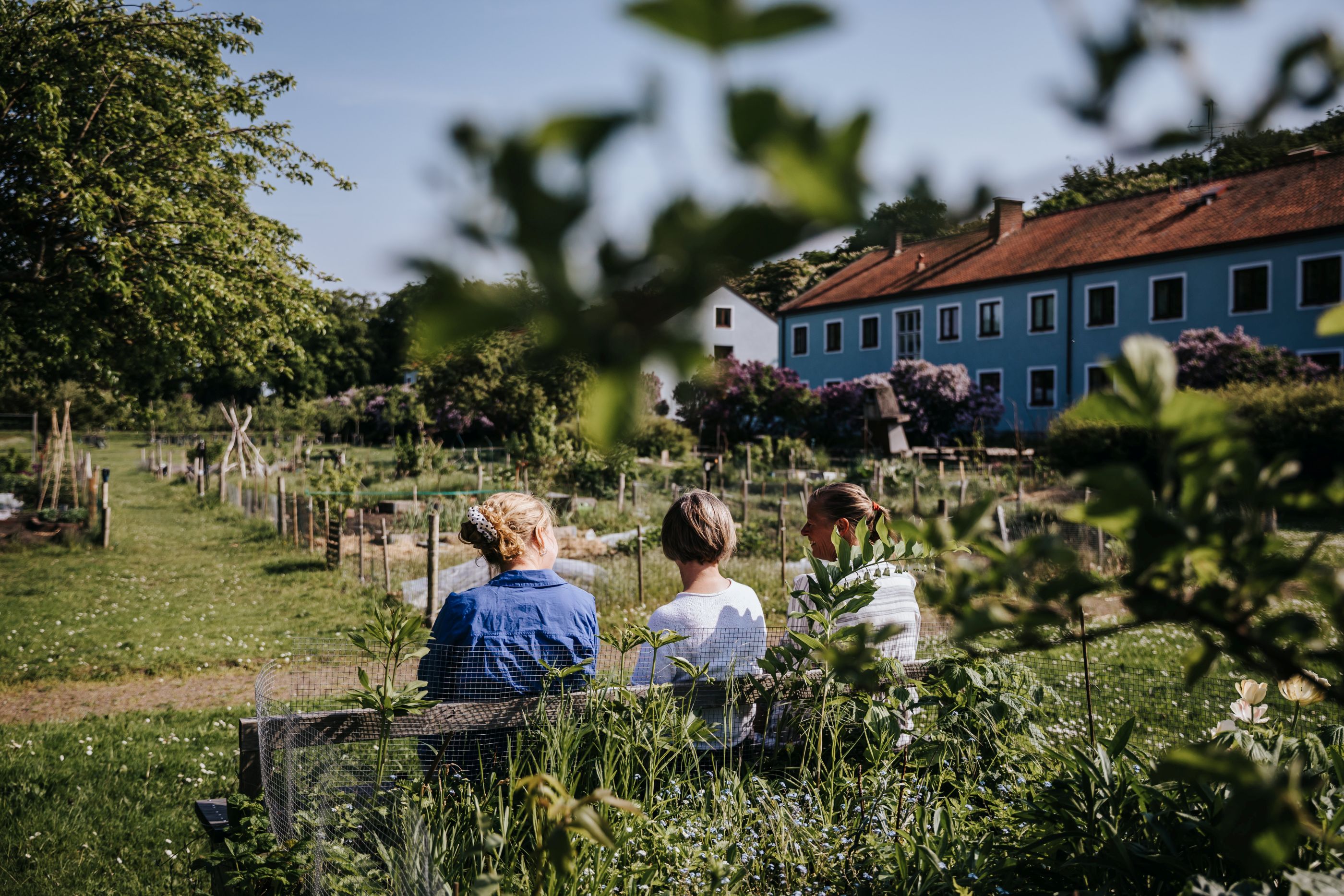Tre personer sitter på en innergård full av grönska.