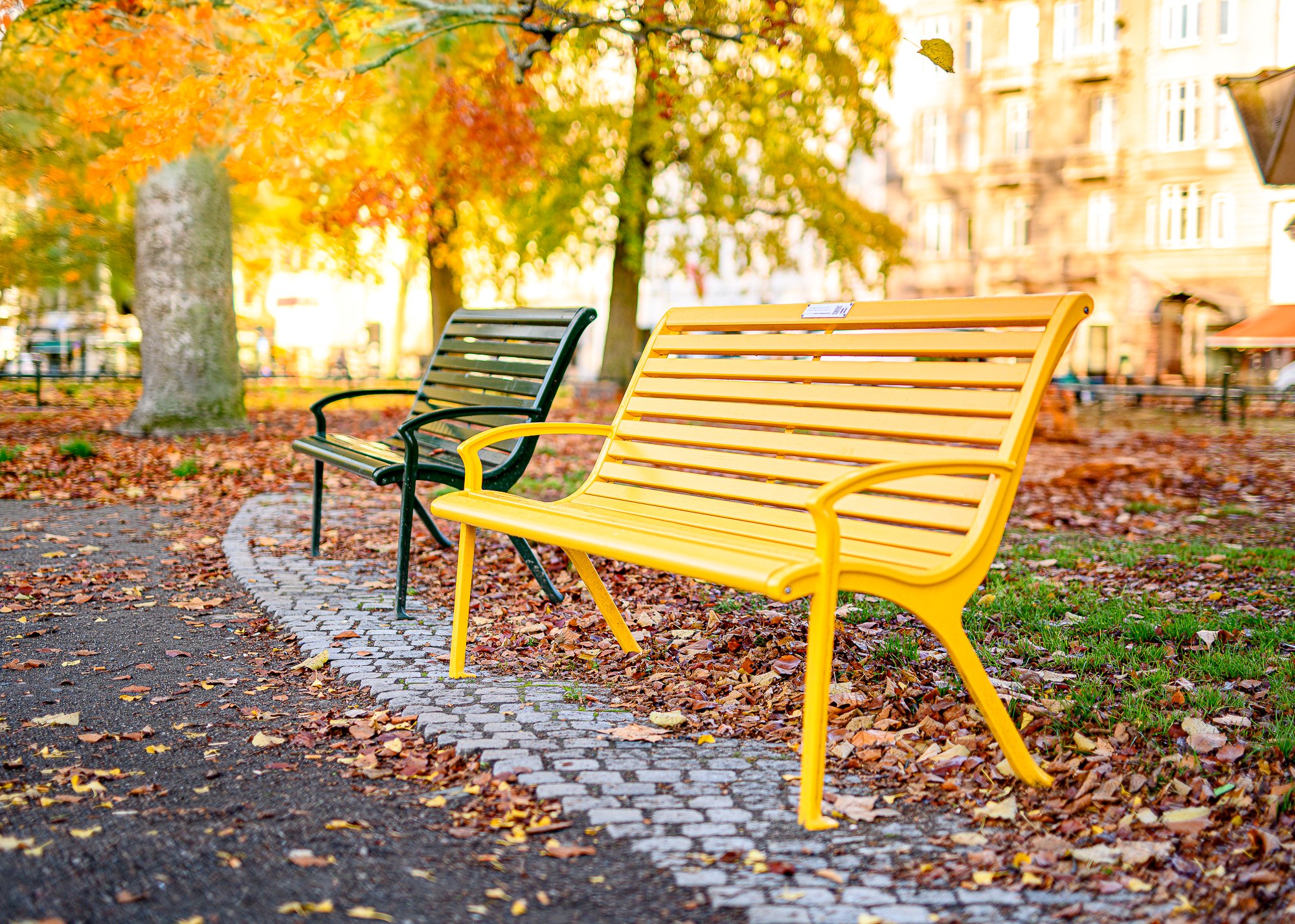 En av stadens gula vänskapsbänkar i en park.