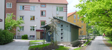 Foto: Tor Fossum