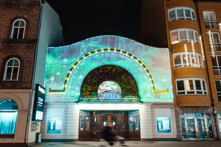 Ljuskonst av Olof Werngren på Södra Förstadsgatan 18. Foto: Pierre Ekman