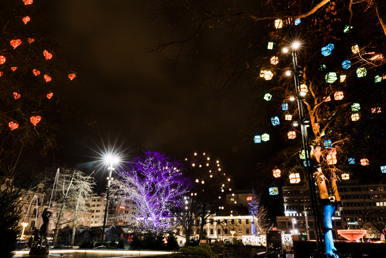 Flera olika ljusinstallationer i olika träd under kvällen på Gustav Adolfs torg under julen.