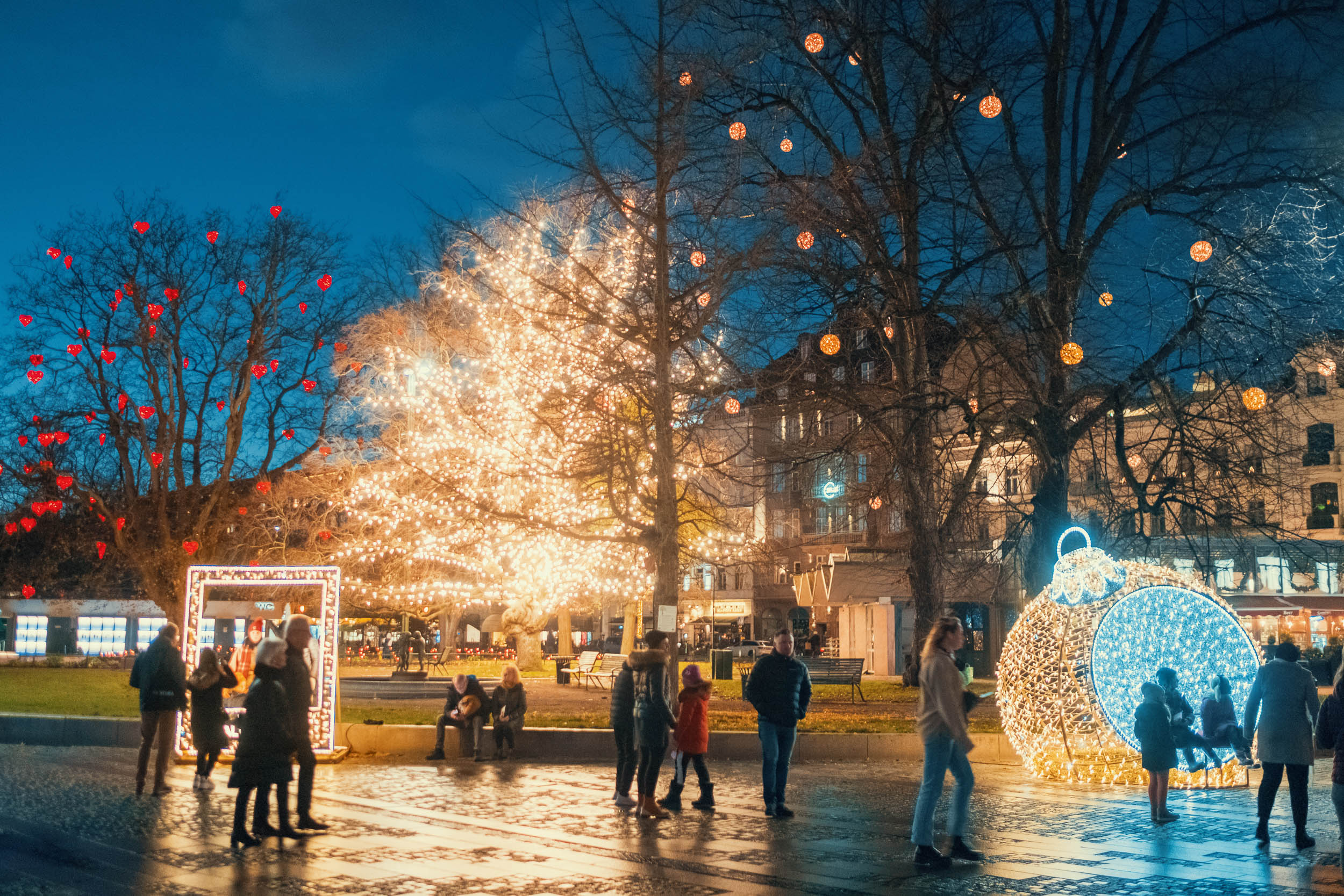 Ett vinterupplyst Gustav Adolfs torg en mörk kväll. Bland annat finns det ljusinstallationer och helt upplysta träd.