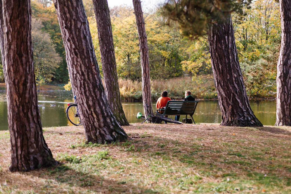Två person som sitter på en parkbänk med flera stora träd runtomkring sig. 