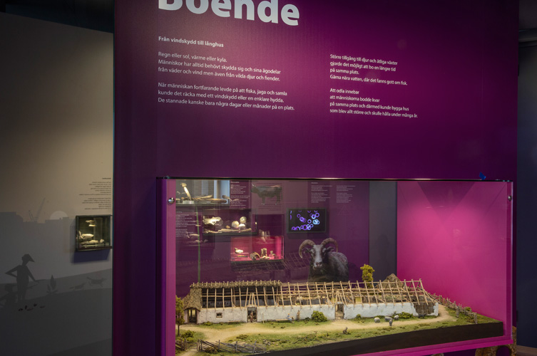 Utställningsmiljön är färgstark och har glasmontrar med föremål. I en av montrarna står en stor husmodell gjord av lera och trä. 