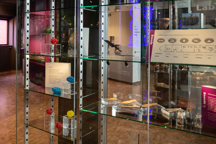 Läran om pollen kallas palynologi.